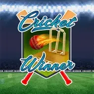 Cricket Winner screenshot