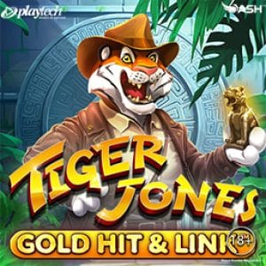 Gold Hit & Link Tiger Jones screenshot